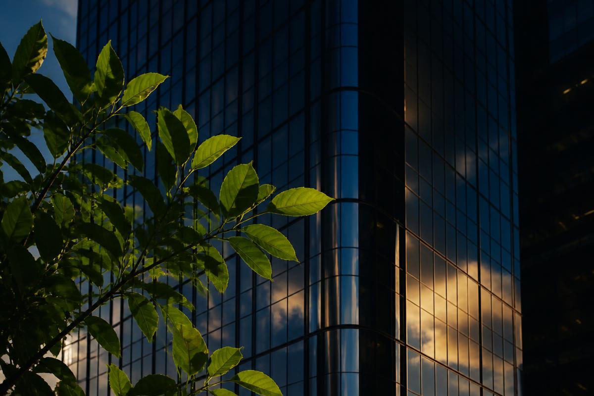 ESG & Sustainable Finance